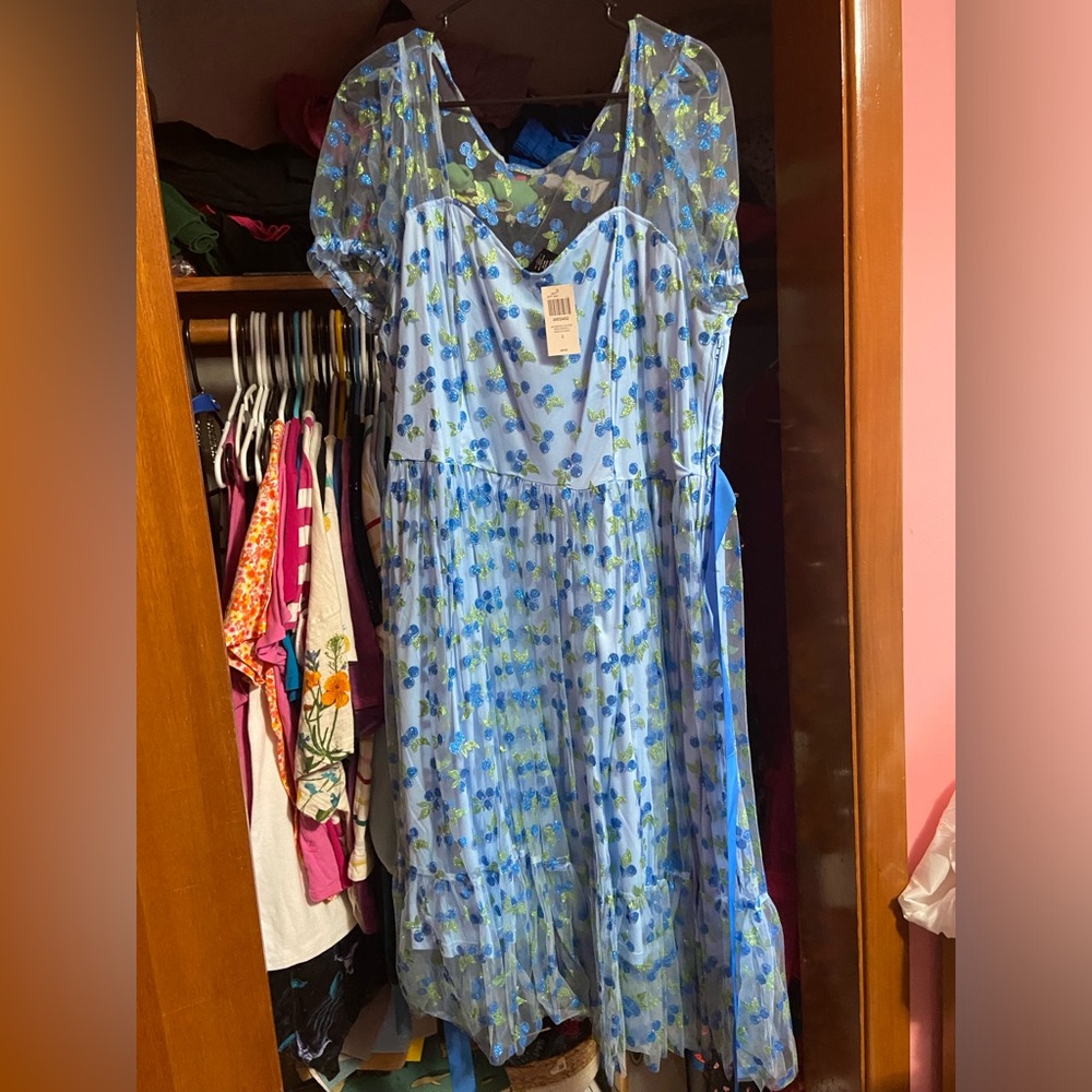NWT blueberry dress size 2 plus size